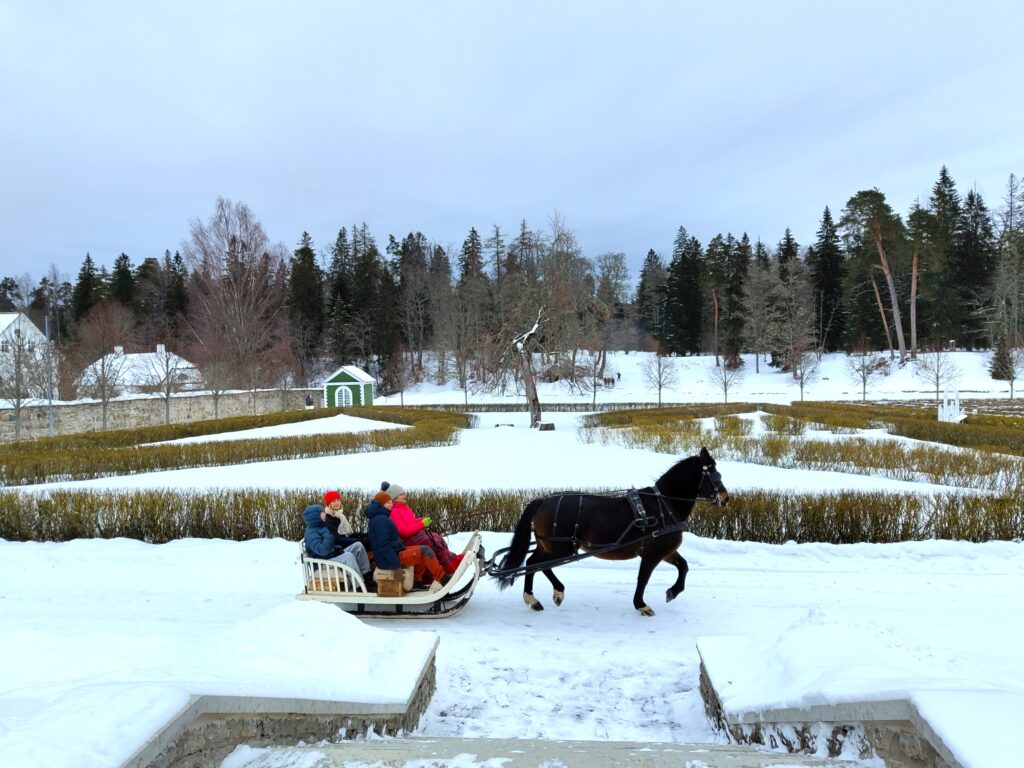 Hobune Uzume saani ees Palmse mõisa vastlasõitu tegemas